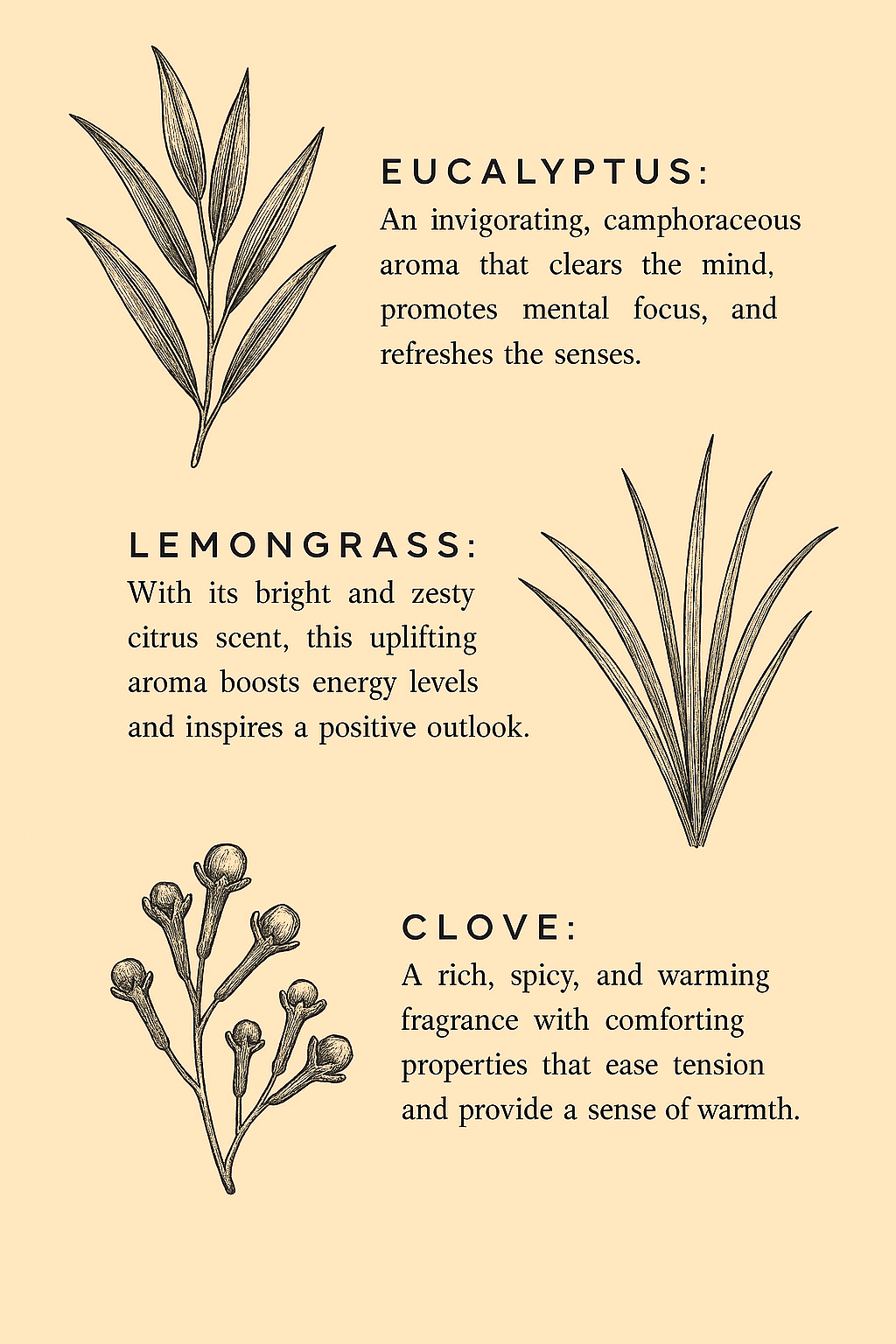Illustrations of eucalyptus, lemongrass, and clove with descriptive text on a beige background.