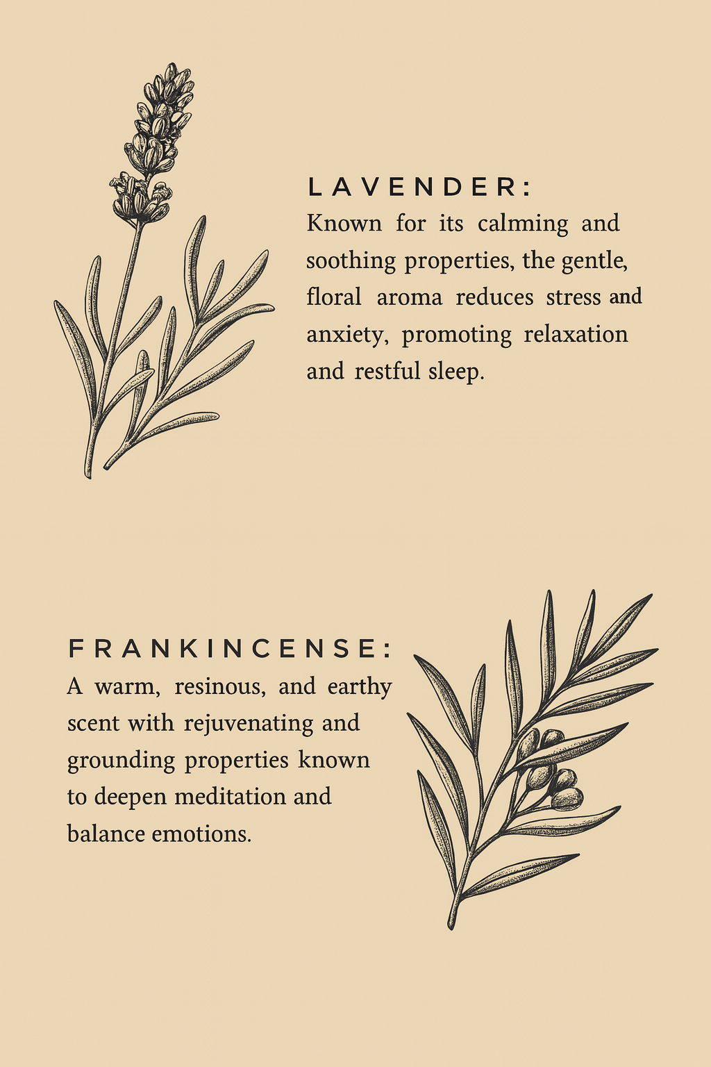 Illustration of lavender and frankincense with descriptive text on a beige background